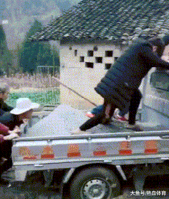 三天两头|搞笑GIF动图:你怎么这么有爱心呀?把火腿都让给女生