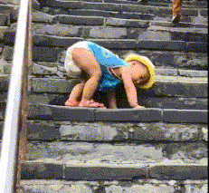 短浅|搞笑GIF：不要说我短浅，我真的竟然羡慕起狗的生活了！