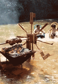 珍稀|这是什么珍稀物种？竟如此奇特！