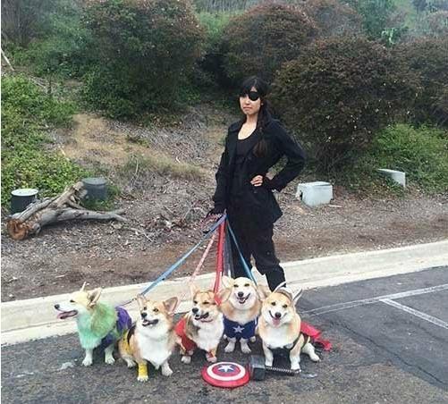 |笑到嘴疼的二十张图（fxa555）