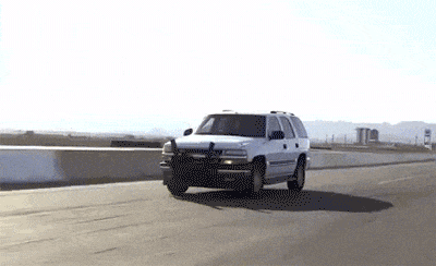 鸭嘴兽|搞笑GIF：看什么看，没见过溜猫的啊！