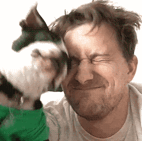 车场|搞笑GIF：原来这个动图还有后续！很牛了！？