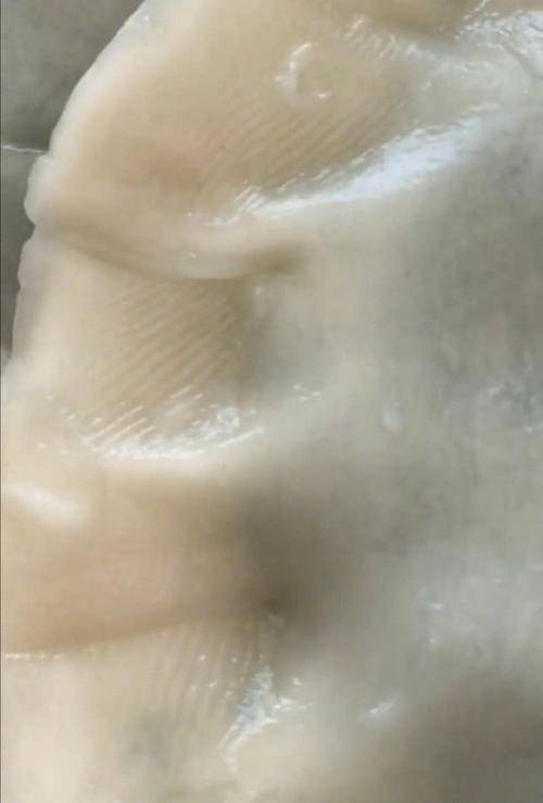 水饺|手工水饺的认证