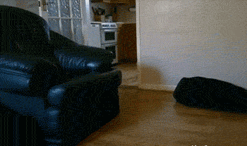 仰泳|搞笑GIF：就你皮，偷偷学仰泳！