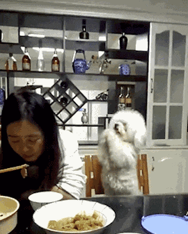 不好意思|搞笑GIF: 兄弟, 实在不好意思, 昨晚喝了点酒