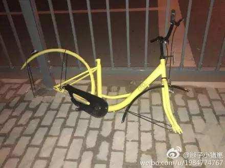 小黄|“捡来的孩子”小黄车：你的良心不会痛吗