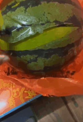 老妈|搞笑GIF动图:看到你拿刀来,是时候表演真正的技术了!