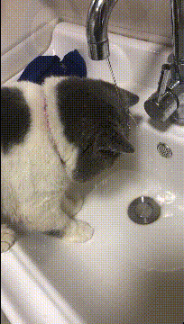 两个|搞笑GIF：老师，我要举报，他们两个人作弊