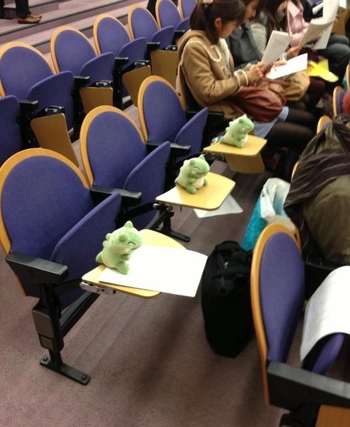 车主|不知道这俩货做了什么,车主如此残忍的把它们游街示众!