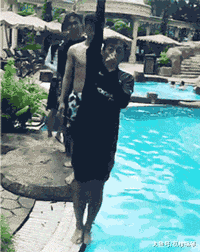 老实人|搞笑GIF：这里有个老实人