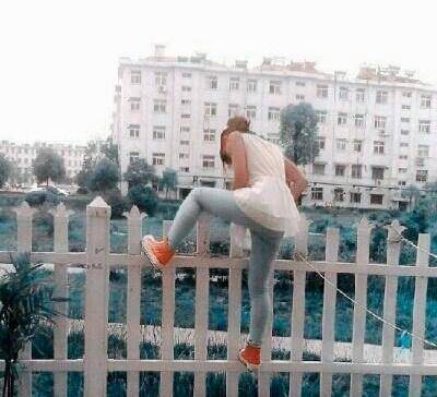 火龙果|搞笑GIF: 主人我没吃火龙果，你要相信我！！