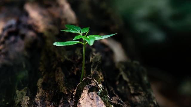 幽默笑话|幽默笑话：小时候家里穷，那时老爸总用一根绳子当腰带