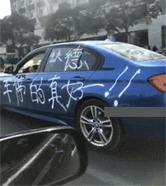 叛徒|搞笑GIF：鸭子：大家快注意一下，我们里面是不是出叛徒了