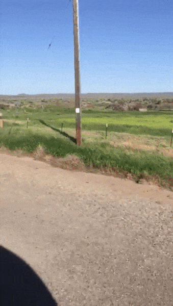 一头|你这驾驶技术牛了，应该那边再来一头！