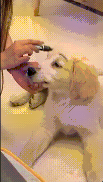 土豪|搞笑GIF:土豪,绝对的土豪