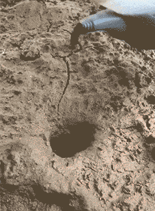 东西|爆笑GIF：这种求真的心态值得学习