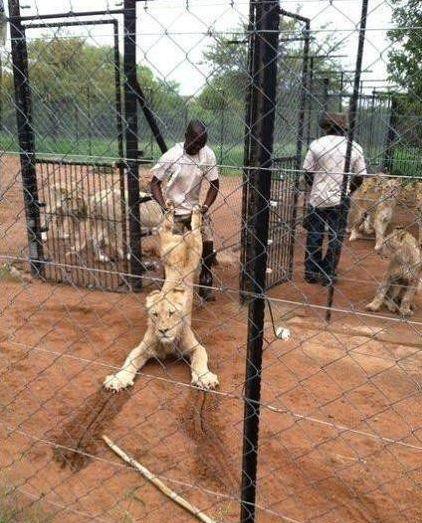 禅师|搞笑段子:去见异地女友,竟然在她房间抽屉发现了皮鞭……