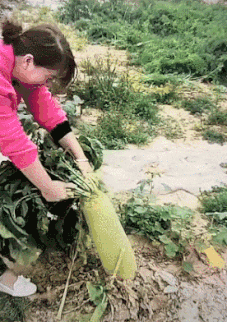 老人|搞笑gif：小姐姐，你看到了什么，这汤你还喝吗