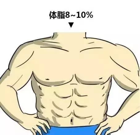 腹肌|9个动作把体脂率减到可以看见六块腹肌？