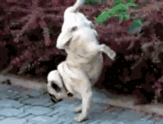 奇事|大千世界还有哪些？我们为所未闻的奇人奇事