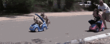 灵性|搞笑GIF:这个刹车就很灵性了！