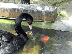 小伙子|搞笑GIF:小伙子下次站的这么高的时候,还是不要随便乱动了。