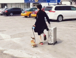 搞笑|搞笑gif,个个都是人才,说话又好听,超喜欢在里面