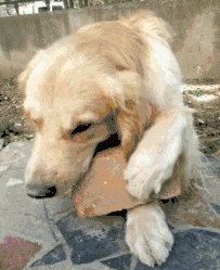 多人|搞笑GIF趣图：还是第一次见健身房里面有这么多人