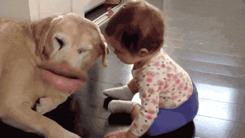 大妈|大妈这个暴脾气啊,一言不合就突然蹦起来了呢!