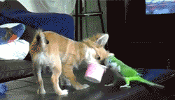 老婆|娶了这样的老婆真幸福啊