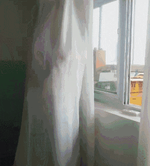 蠢驴|搞笑GIF:难怪都说蠢驴!