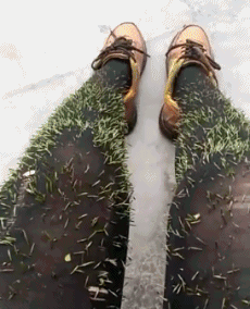 蘑菇|搞笑GIF动图:姑娘,你为了这点蘑菇,搞成这样鸟样子,不值呀