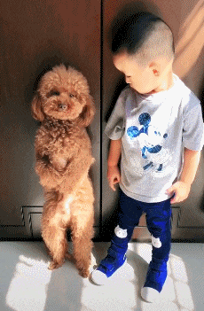 刘乡长|十则开心小笑话：笑口常开，好运来。