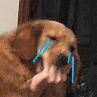 蒜苗|笑话:当别人都发愁,该怎么挣钱的时候,我已经在想怎么花钱了