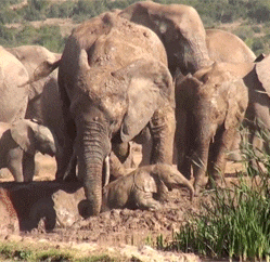 媳妇|搞笑GIF: 每次看到我媳妇对我这样, 我就觉得心里暖暖的