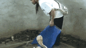 土豪|搞笑GIF:土豪,绝对的土豪