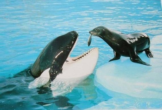 农民|龙弟弟搞笑段子:作为男人怎么能让女人在气势上压过自己!