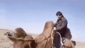 刘乡长|十则开心小笑话：笑口常开，好运来。