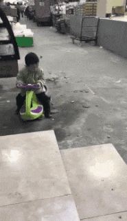 还是|搞笑gif趣图: 难道我平时给你的肉肉还不够你吃的?还是你想尝点新鲜的?