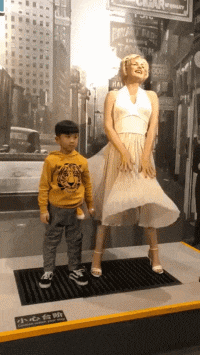 理想|搞笑GIF:理想很丰满,现实很骨感