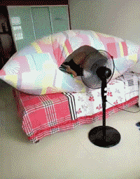 夫君|搞笑GIF图:老妹人家来做保养,你这一口唾沫是最新美白品吗