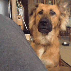 橙子|搞笑GIF：小伙不错，大妈很喜欢