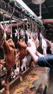 一刹那|搞笑GIF:当她回头的那一刹那我差点吐出来了