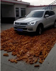 老妈|搞笑GIF动图:看到你拿刀来,是时候表演真正的技术了!