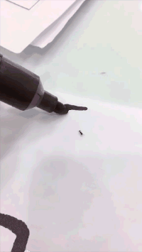 对象|GIF搞笑趣图:你以为你有对象了啊!还是想想吧!