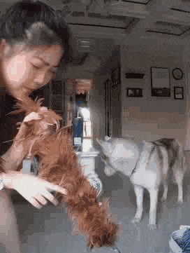 小朋友|搞笑gif趣图：我家主子，莫名其妙就嗨起来了，我不像伺候了