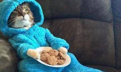 大区|他成了一个与车打交道与有钱人打交道的碰瓷人