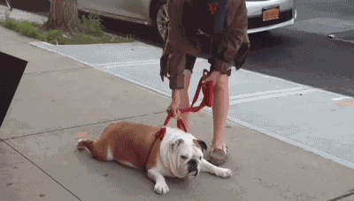 铅球|爆笑GIF:是谁把胶水粘到铅球上的