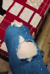 士奇|搞笑GIF趣图:哈士奇整天就知道玩,金毛已经开始干活了