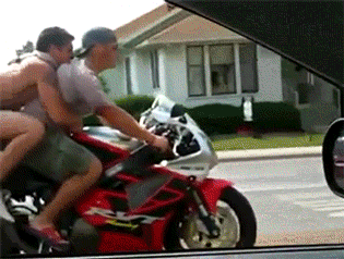 胆子|搞笑GIF：喂，大老虎，你这样撒娇好吗，作为王的尊严呢